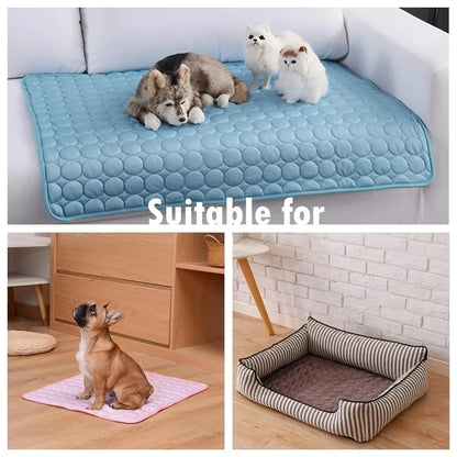 Tapete Refrescante para Cães e Gatos – Conforto nos Dias Quentes