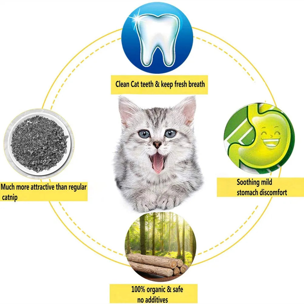 15 pçs natural matatabi gato catnip brinquedo gatinho molar mastigar vara pet limpeza dentes gato tratar brinquedo actinidia silvervine produtos para animais de estimação