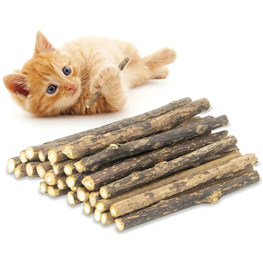 15 pçs natural matatabi gato catnip brinquedo gatinho molar mastigar vara pet limpeza dentes gato tratar brinquedo actinidia silvervine produtos para animais de estimação