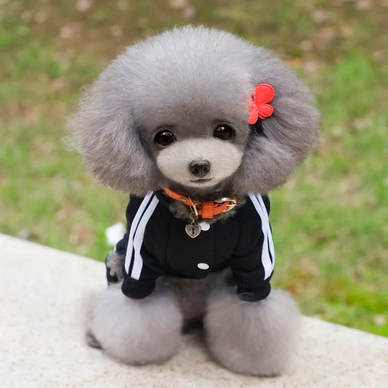 Adidog roupas para cães macacão grosso para cães, roupas de inverno para cães de estimação para cães pequenos macacão de cachorro traje de treino para yorkie