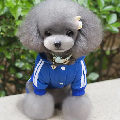 Macacão de Inverno para Cães Pequenos – Quente e Confortável