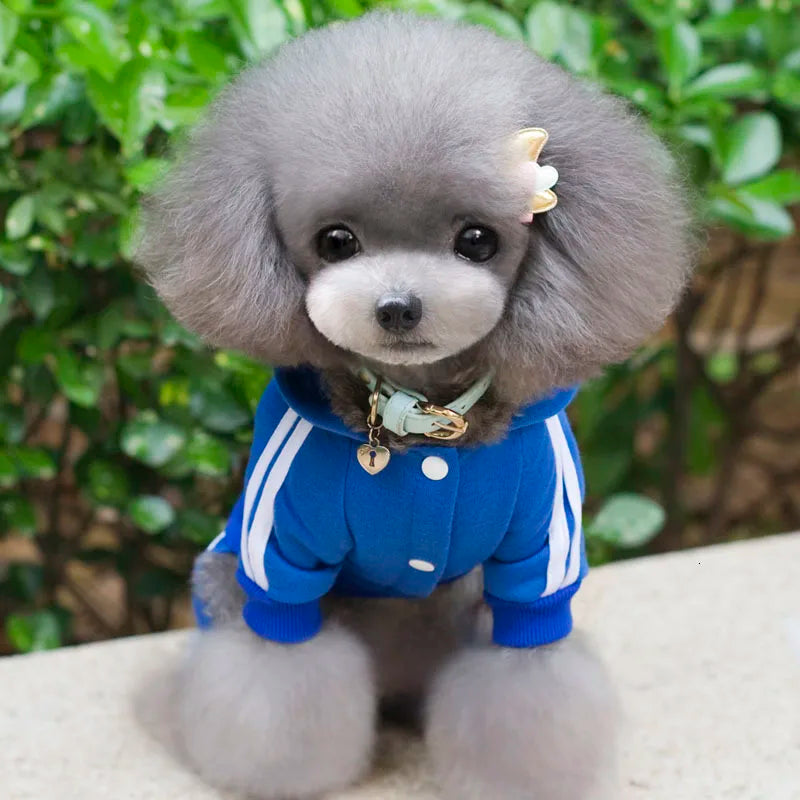Adidog roupas para cães macacão grosso para cães, roupas de inverno para cães de estimação para cães pequenos macacão de cachorro traje de treino para yorkie