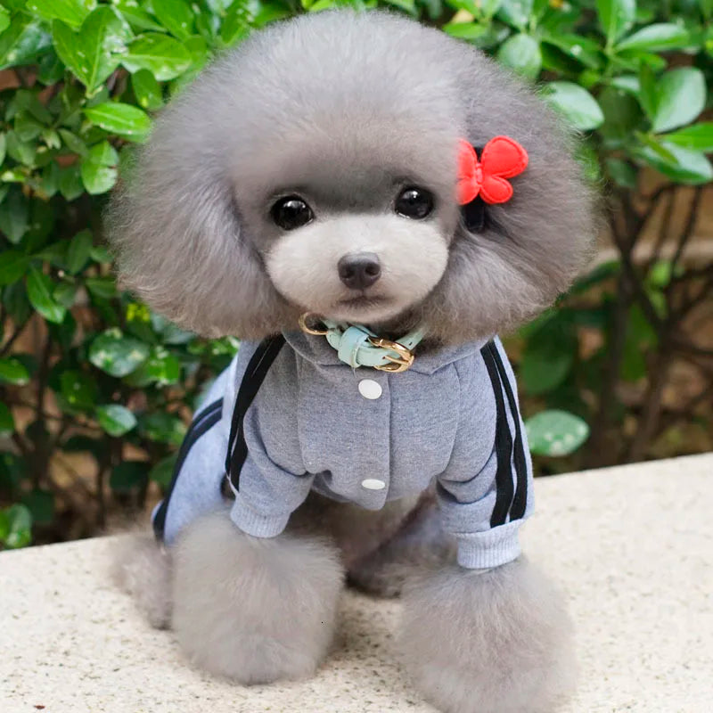 Adidog roupas para cães macacão grosso para cães, roupas de inverno para cães de estimação para cães pequenos macacão de cachorro traje de treino para yorkie