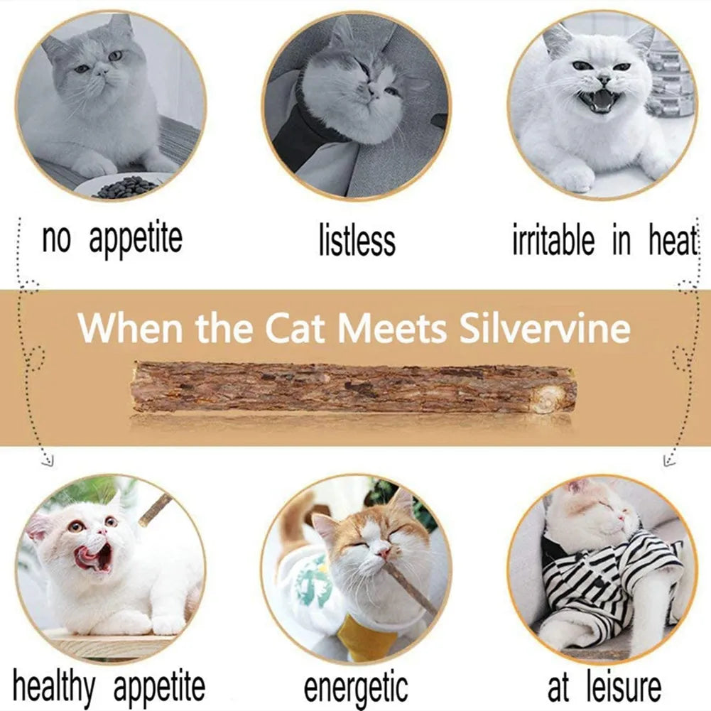 15 pçs natural matatabi gato catnip brinquedo gatinho molar mastigar vara pet limpeza dentes gato tratar brinquedo actinidia silvervine produtos para animais de estimação