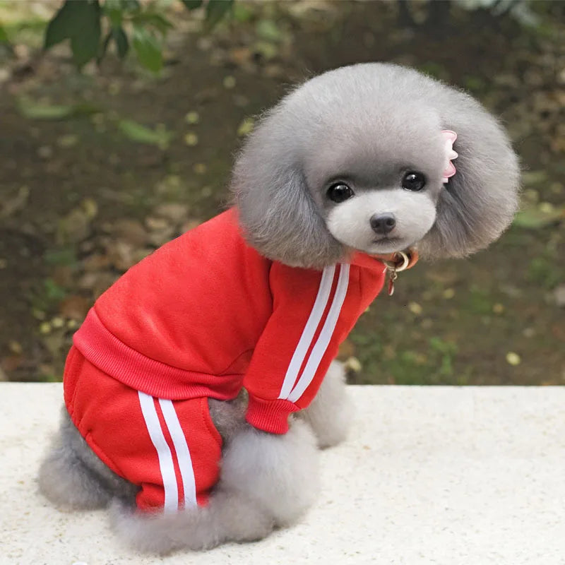Adidog roupas para cães macacão grosso para cães, roupas de inverno para cães de estimação para cães pequenos macacão de cachorro traje de treino para yorkie
