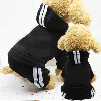Macacão de Inverno para Cães Pequenos – Quente e Confortável
