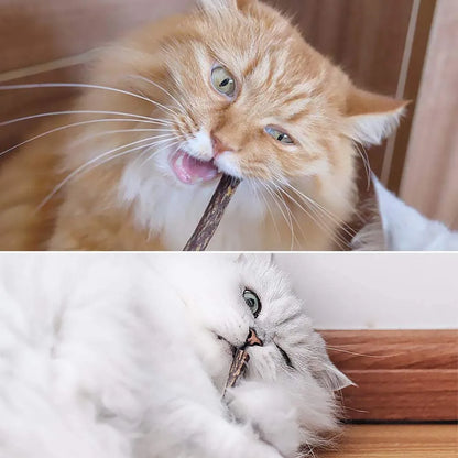 Paus de Matatabi Natural para Gatos – Pack de 15