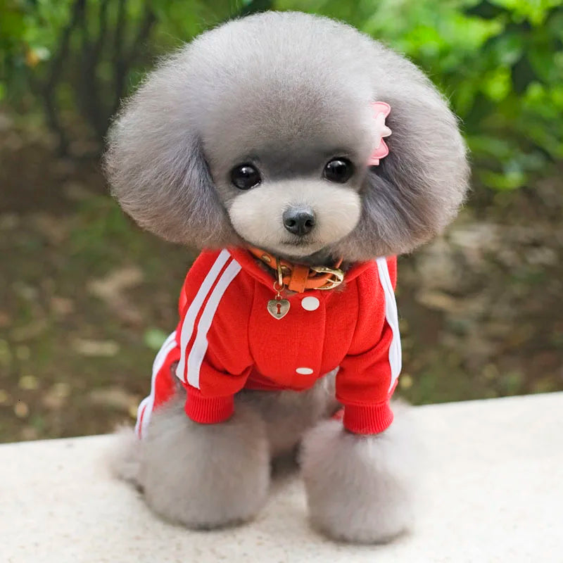 Adidog roupas para cães macacão grosso para cães, roupas de inverno para cães de estimação para cães pequenos macacão de cachorro traje de treino para yorkie