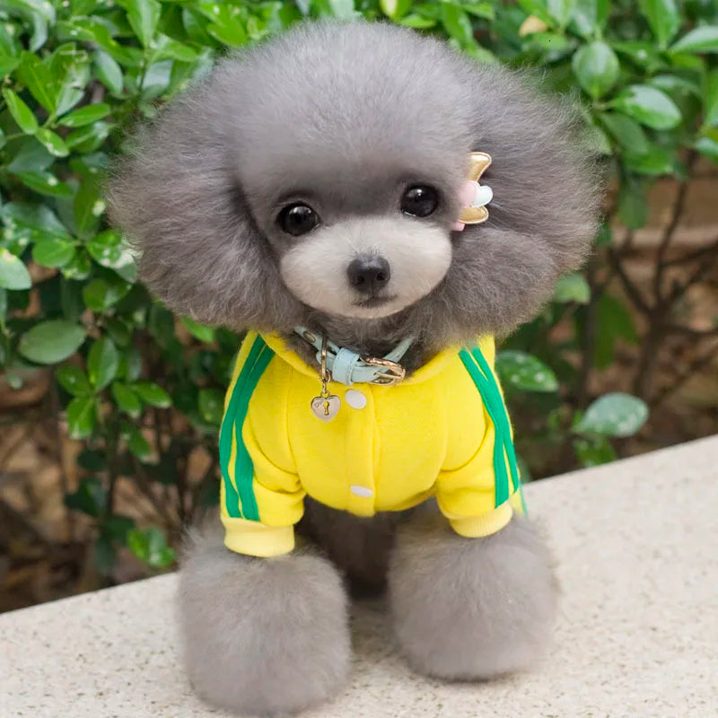 Adidog roupas para cães macacão grosso para cães, roupas de inverno para cães de estimação para cães pequenos macacão de cachorro traje de treino para yorkie