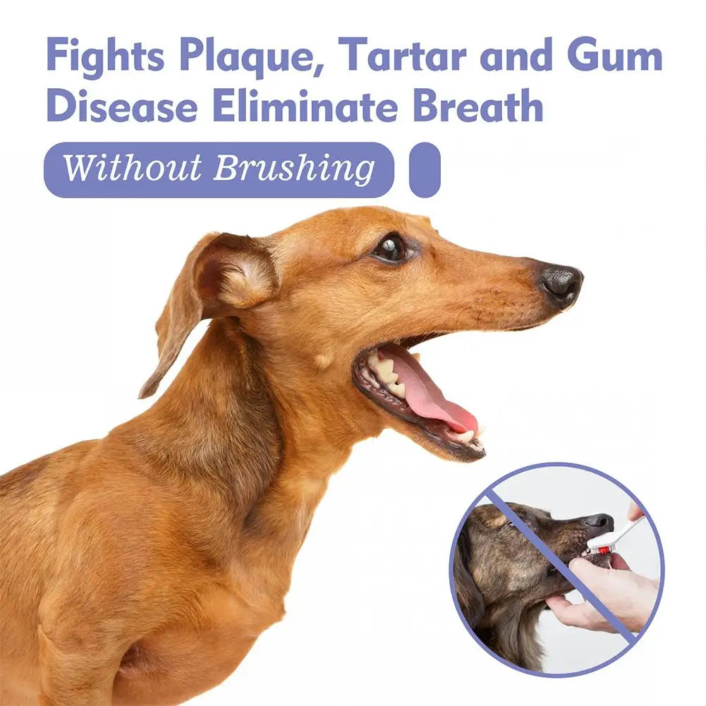 Spray de Higiene Oral para Cães – 30 ml
