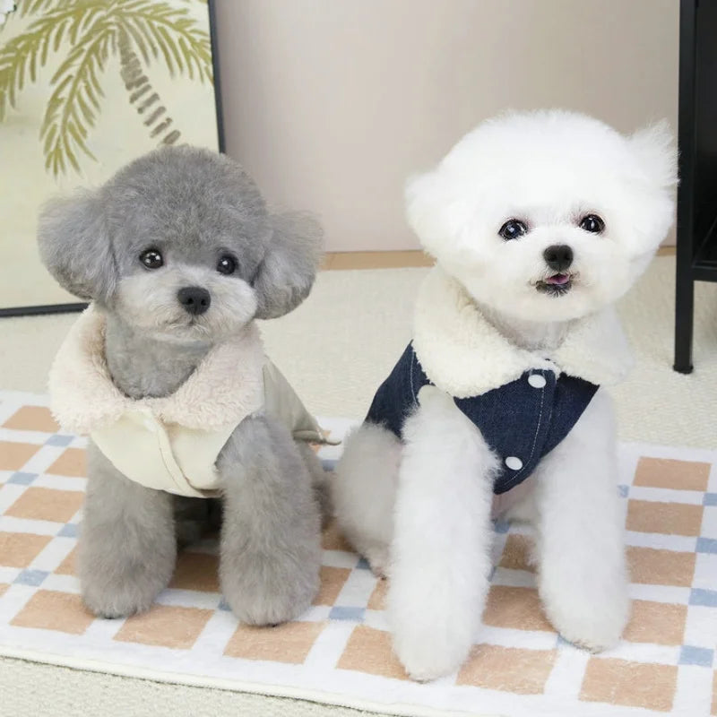 Moda denim cão para baixo jaqueta quente macio roupas para cães de estimação inverno filhote de cachorro casaco engrossado gato colete casaco yorkshire vestuário para animais de estimação