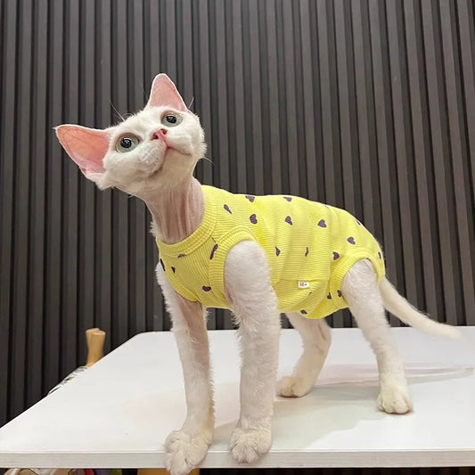 Macacão elástico para gatos Sphynx e Devon Rex