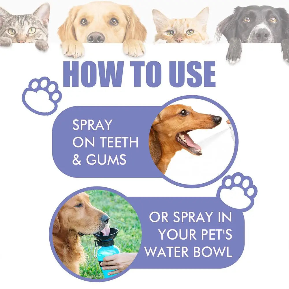 30ml pet spray cão cuidados orais mau hálito limpeza dos dentes pet ambientador fornecimento desodorante placa cuidados removedor respiração acessórios para animais de estimação