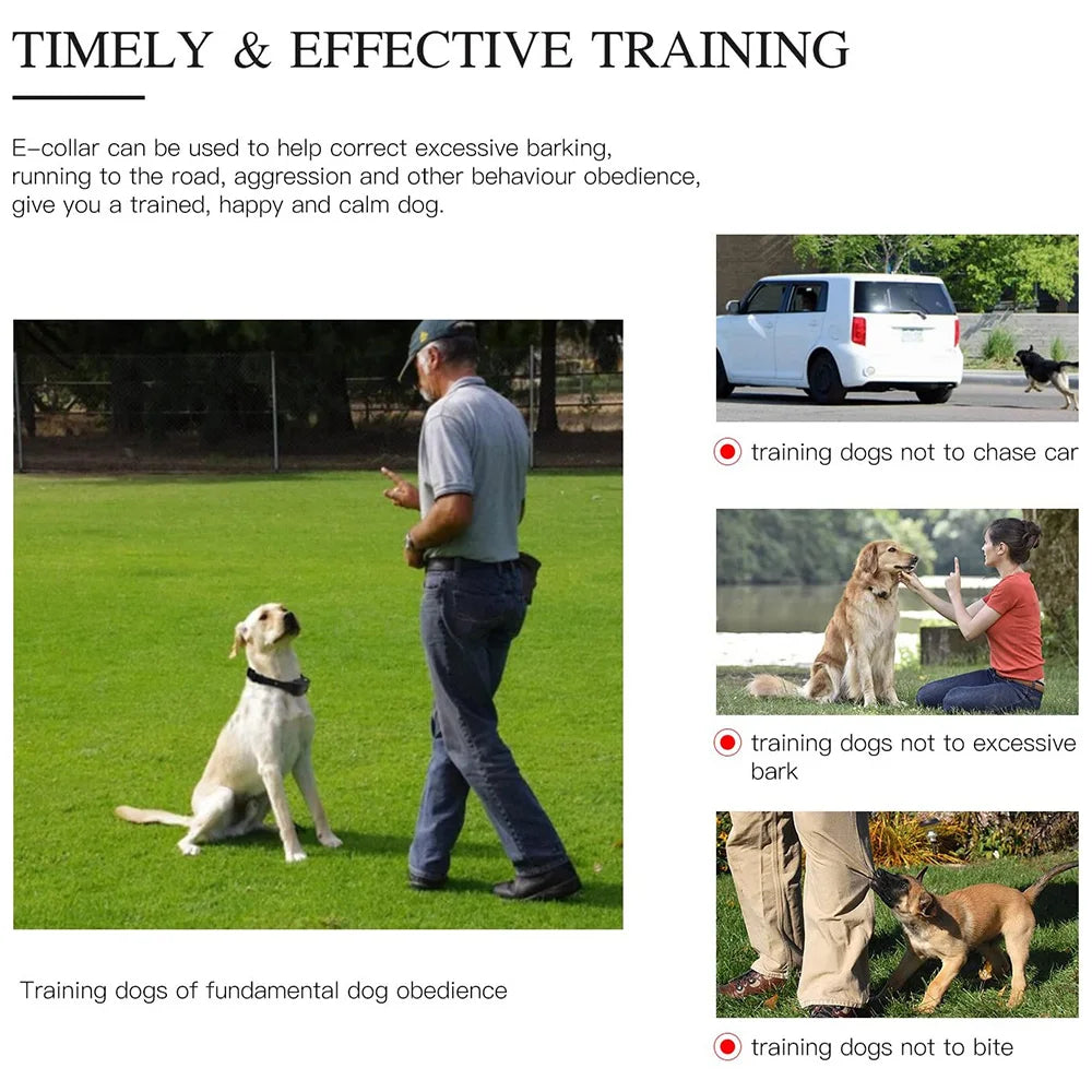 Recarregável, Anti-latido, Vibração de choque, Todos os cães, Pet, Coleira elétrica do treinamento do cão com Clicker