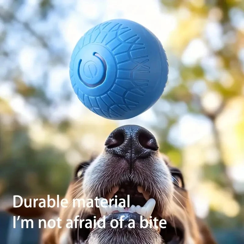Bola de Brinquedo Inteligente para Cães, Interativa Automática, Eletrônica, Recarregável via USB, que Rola e Salta, para Filhotes a Cães Grandes, Brinquedo de Mastigar