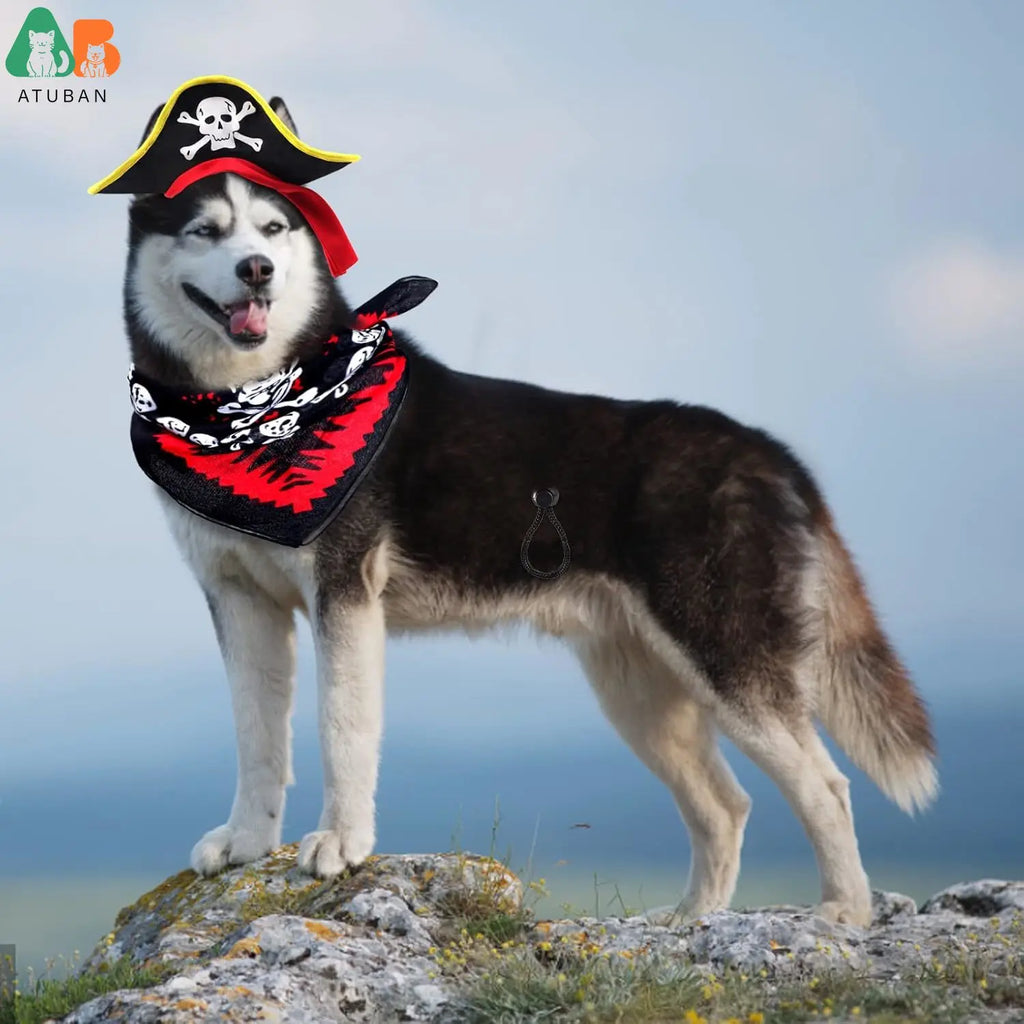 Atuban crânio impressão animal de estimação chapéu pirata com crânio pirata bandana cão gato capitão boné halloween pirata cosplay traje festa de halloween