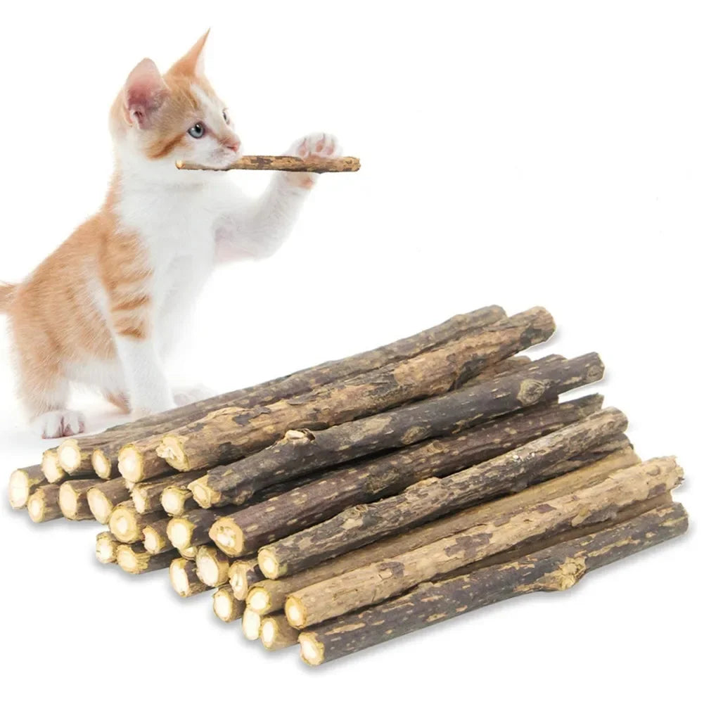 15 pçs natural matatabi gato catnip brinquedo gatinho molar mastigar vara pet limpeza dentes gato tratar brinquedo actinidia silvervine produtos para animais de estimação