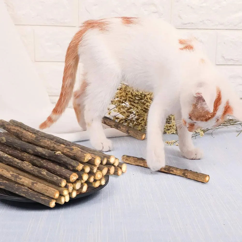 15 pçs natural matatabi gato catnip brinquedo gatinho molar mastigar vara pet limpeza dentes gato tratar brinquedo actinidia silvervine produtos para animais de estimação