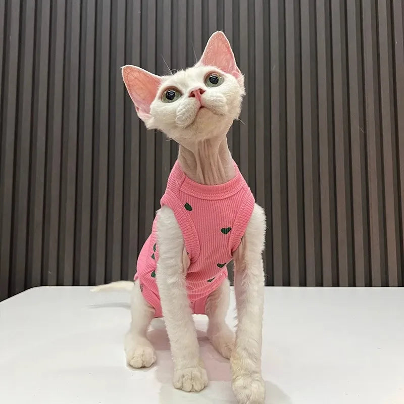 Roupa para Gatos Sphynx e Devon Rex: Macacão Elástico Fino e Quente de Quatro Patas