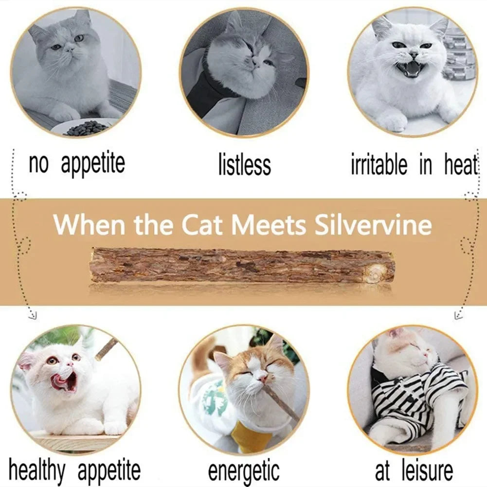 15 pçs natural matatabi gato catnip brinquedo gatinho molar mastigar vara pet limpeza dentes gato tratar brinquedo actinidia silvervine produtos para animais de estimação