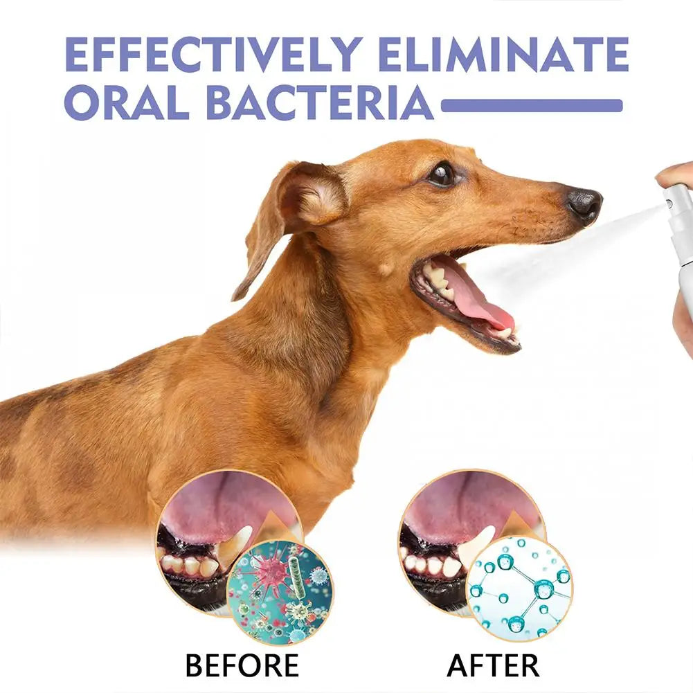 Spray de Higiene Oral para Cães – 30 ml