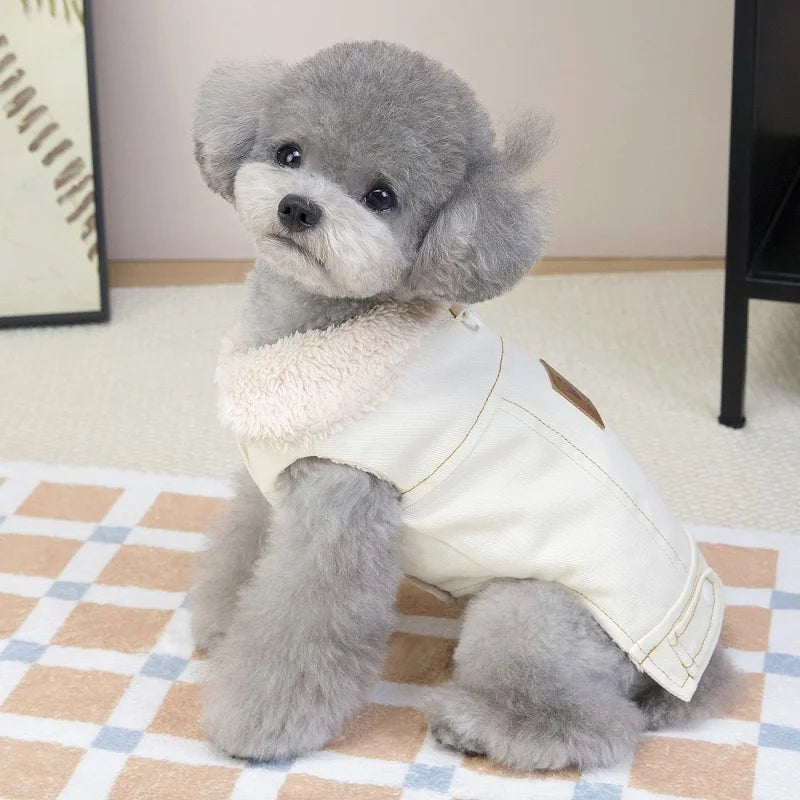 Moda denim cão para baixo jaqueta quente macio roupas para cães de estimação inverno filhote de cachorro casaco engrossado gato colete casaco yorkshire vestuário para animais de estimação