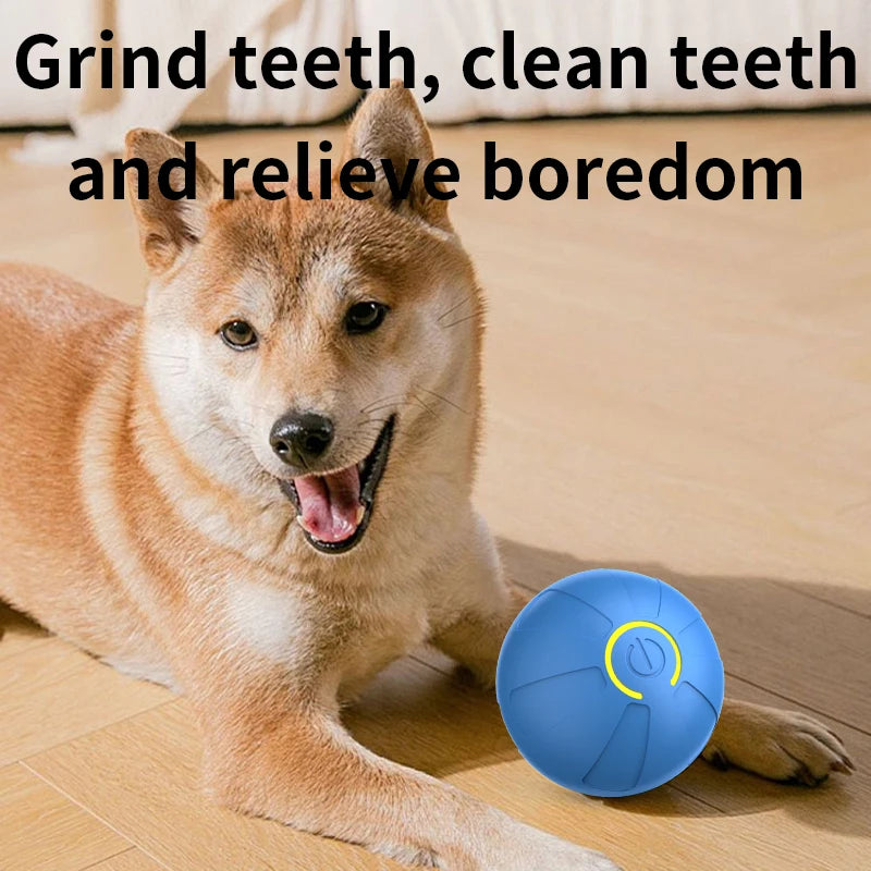 Bola de Brinquedo Inteligente para Cães, Interativa Automática, Eletrônica, Recarregável via USB, que Rola e Salta, para Filhotes a Cães Grandes, Brinquedo de Mastigar
