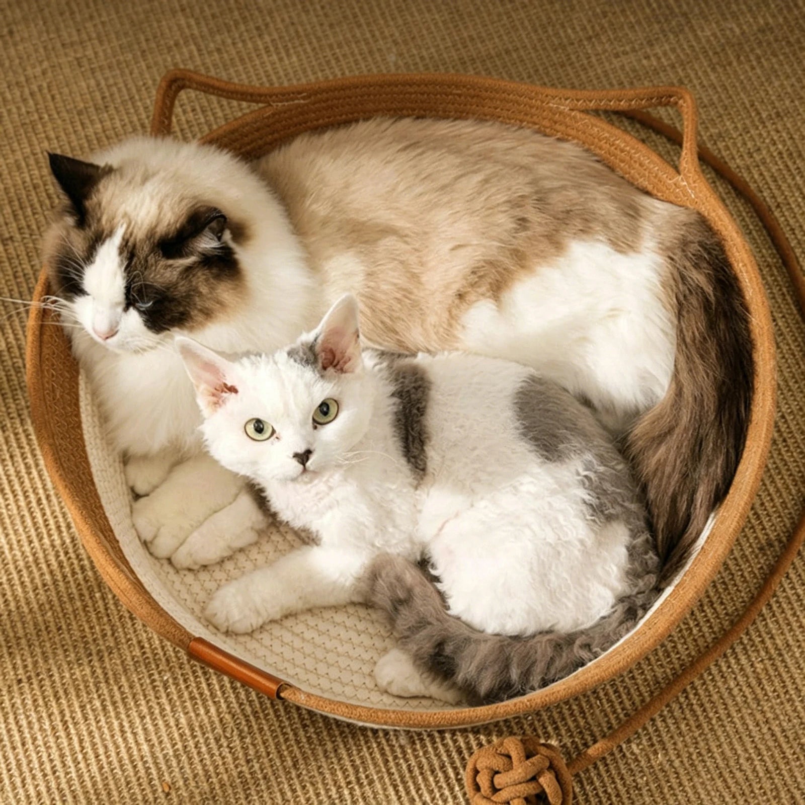 Stimulicat Cama para Gatos com Rabo de Brinquedo e Design de Orelha de Gato, Cama de Enriquecimento em Corda de Algodão Feita à Mão para Filhotes, Coelhos e Pequenos Pets