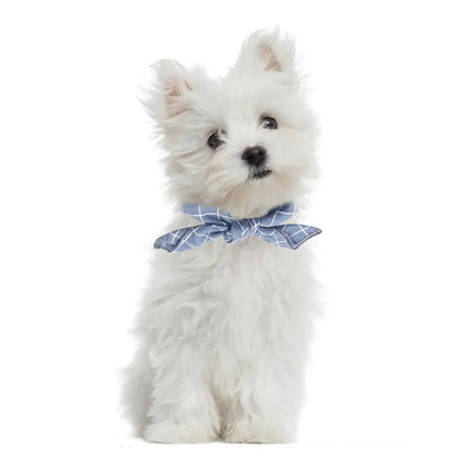 Bandana de Algodão para Cães e Gatos – Vários Padrões
