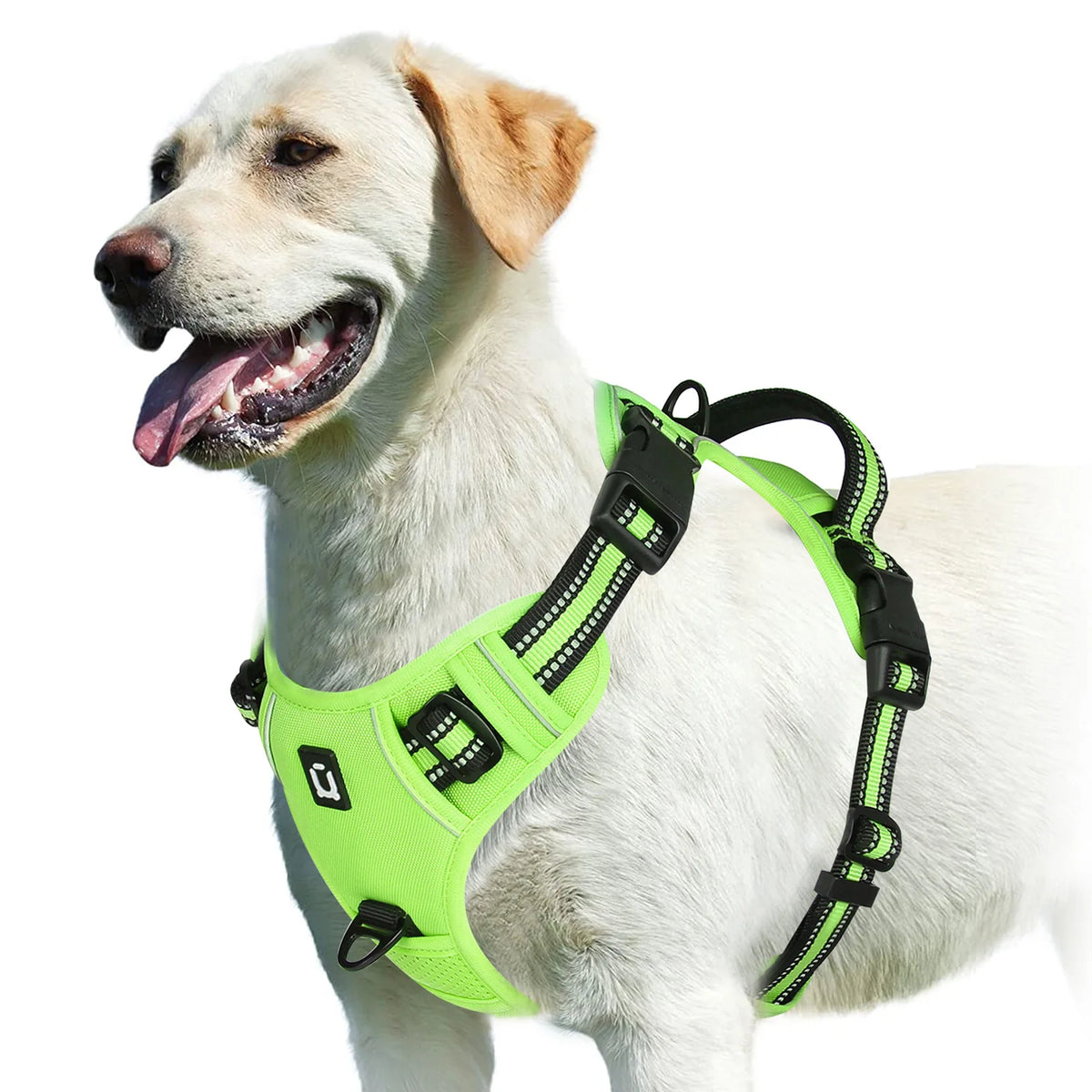 Arnês Anti-Puxão Ajustável para Cães – Acolchoado com Alça