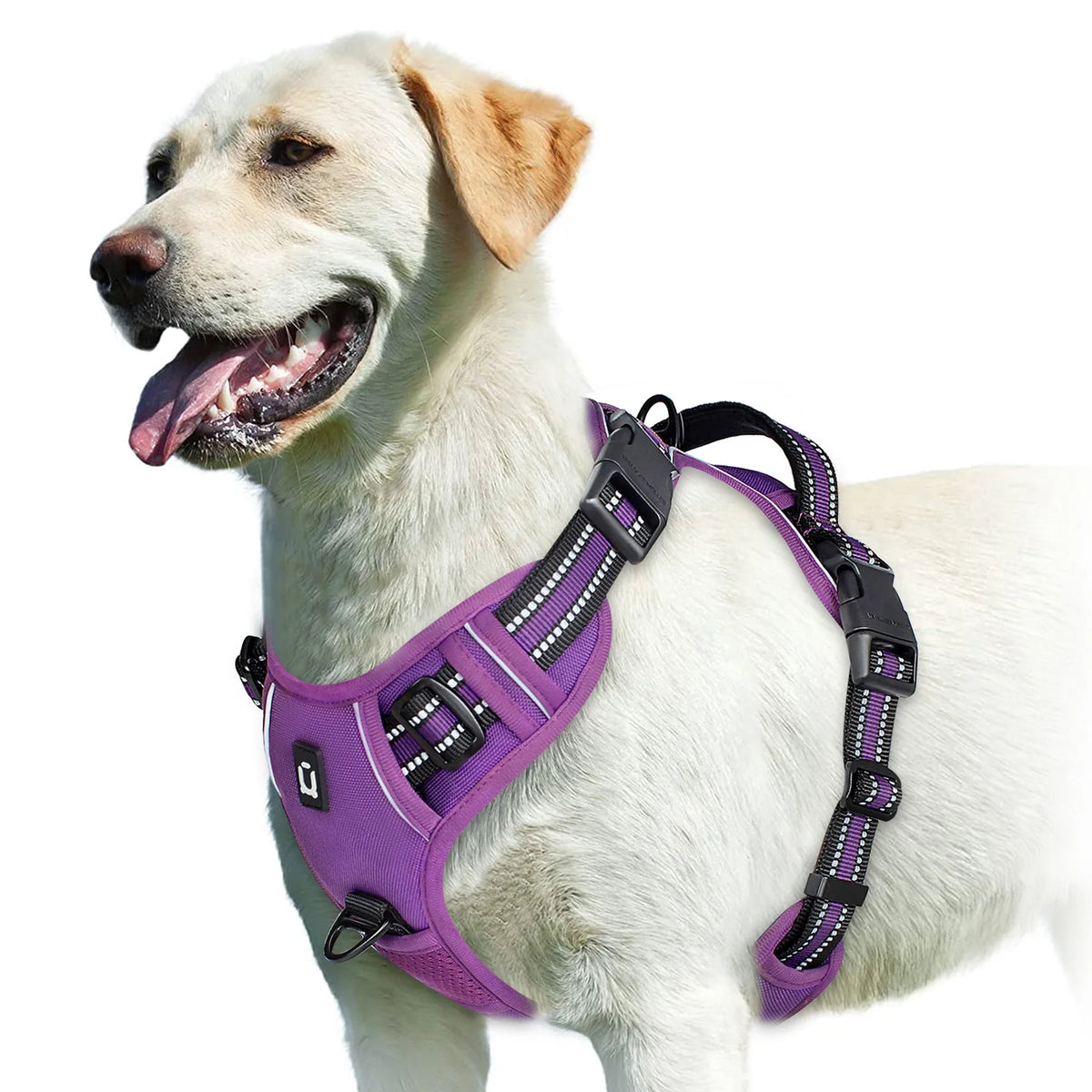 Arnês Anti-Puxão Ajustável para Cães – Acolchoado com Alça