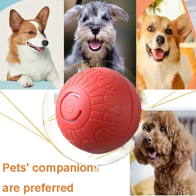Bola de Brinquedo Inteligente para Cães, Interativa Automática, Eletrônica, Recarregável via USB, que Rola e Salta, para Filhotes a Cães Grandes, Brinquedo de Mastigar