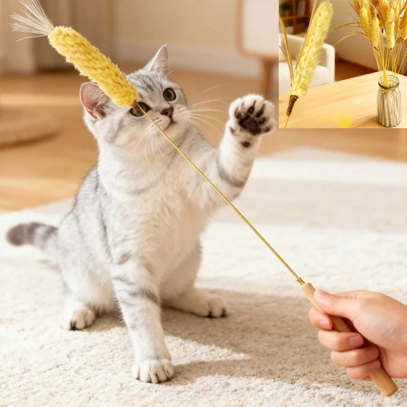 Brinquedo para Gato com Varinha de Estímulo Natural, Resistente a Mordidas, com Sino, Brinquedo para Gato Filhote, Acessórios para Limpeza dos Dentes do Gato