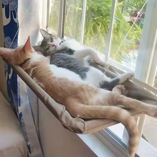 Rede de janela suspensa como poleiro confortável para gatos