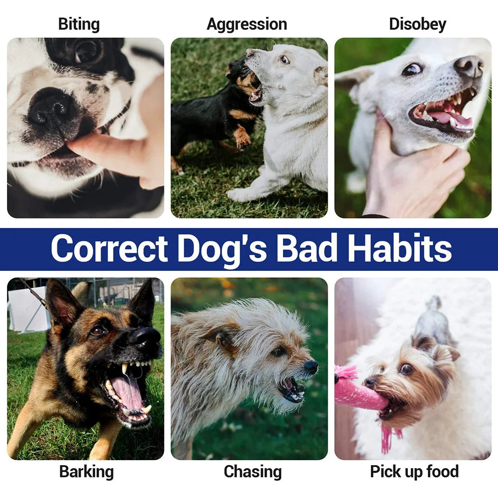 Recarregável, Anti-latido, Vibração de choque, Todos os cães, Pet, Coleira elétrica do treinamento do cão com Clicker