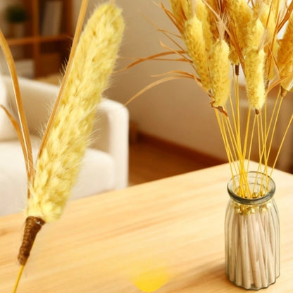 Varinha Natural para Gatos com Sino – Brinquedo de Estímulo