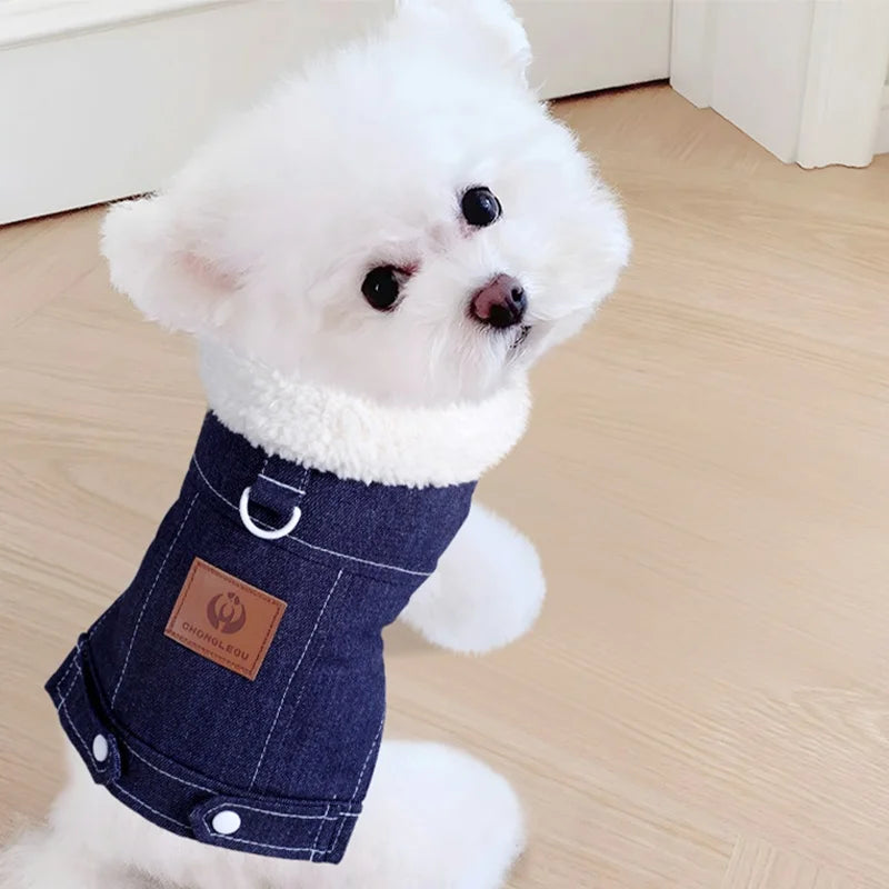 Moda denim cão para baixo jaqueta quente macio roupas para cães de estimação inverno filhote de cachorro casaco engrossado gato colete casaco yorkshire vestuário para animais de estimação