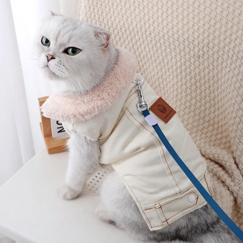 Moda denim cão para baixo jaqueta quente macio roupas para cães de estimação inverno filhote de cachorro casaco engrossado gato colete casaco yorkshire vestuário para animais de estimação