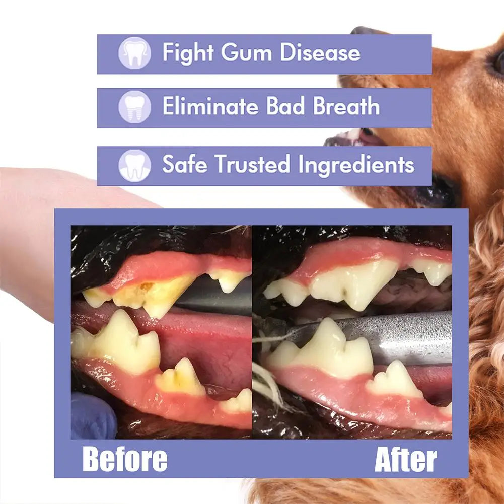 Spray de Higiene Oral para Cães – 30 ml