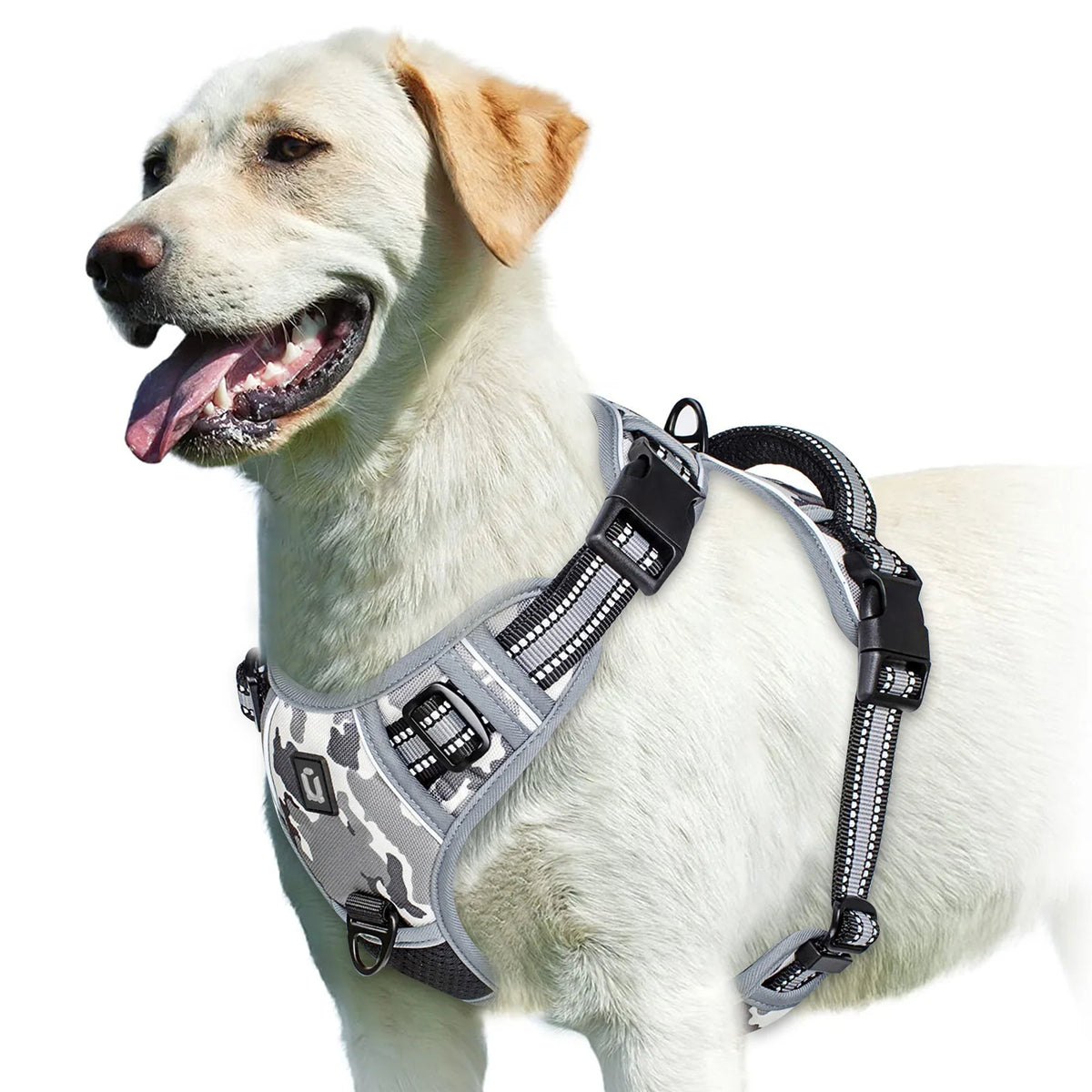 Arnês Anti-Puxão Ajustável para Cães – Acolchoado com Alça