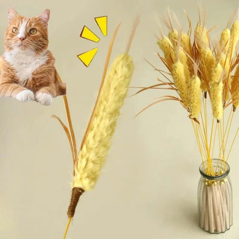 Brinquedo para Gato com Varinha de Estímulo Natural, Resistente a Mordidas, com Sino, Brinquedo para Gato Filhote, Acessórios para Limpeza dos Dentes do Gato