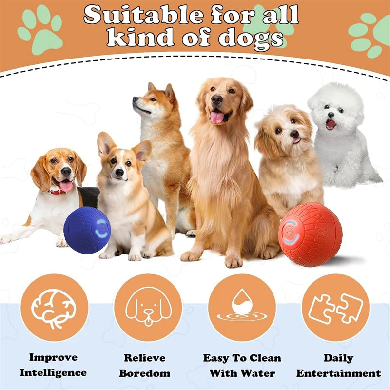 Bola de Brinquedo Inteligente para Cães, Interativa Automática, Eletrônica, Recarregável via USB, que Rola e Salta, para Filhotes a Cães Grandes, Brinquedo de Mastigar