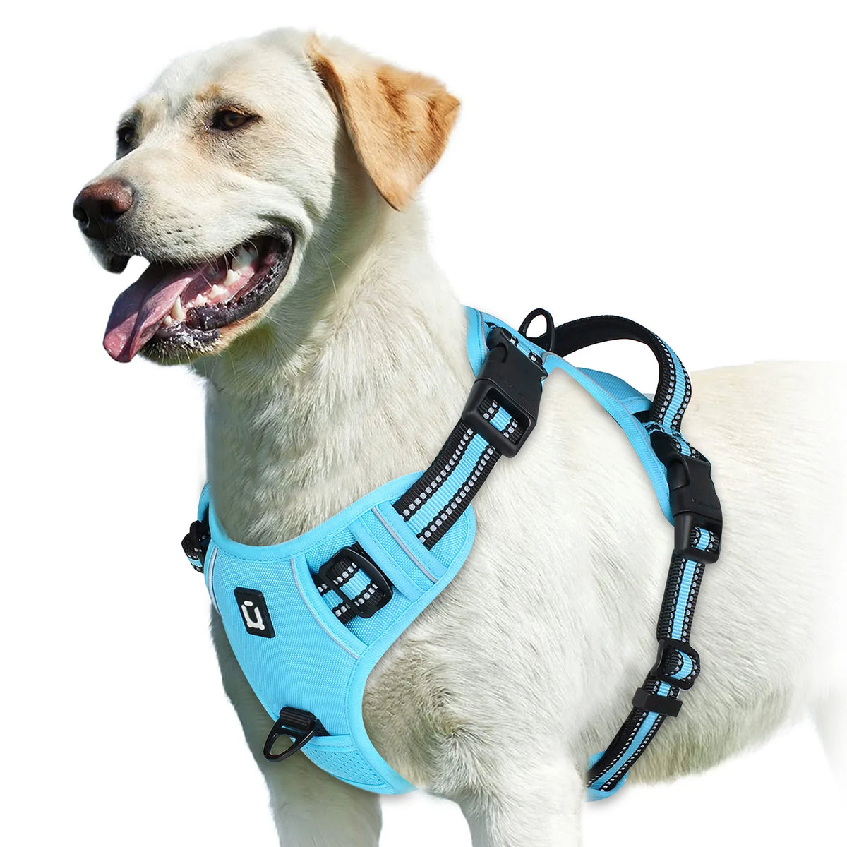 Arnês Anti-Puxão Ajustável para Cães – Acolchoado com Alça
