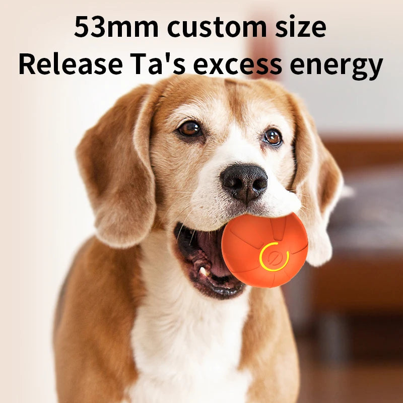 Bola de Brinquedo Inteligente para Cães, Interativa Automática, Eletrônica, Recarregável via USB, que Rola e Salta, para Filhotes a Cães Grandes, Brinquedo de Mastigar