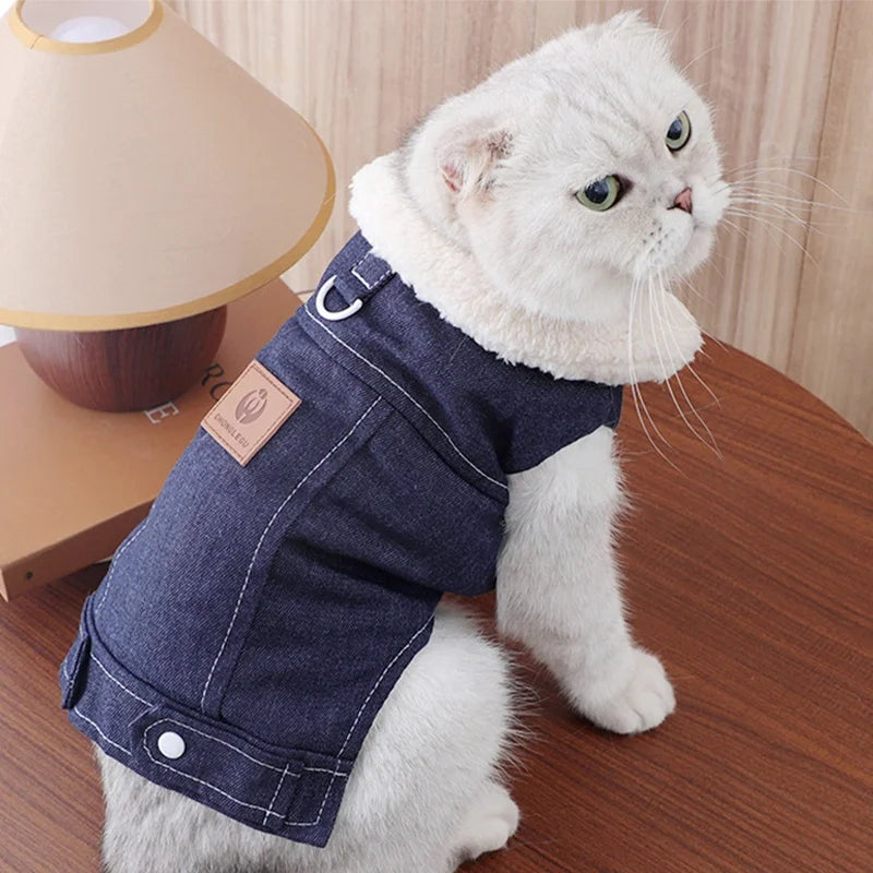 Moda denim cão para baixo jaqueta quente macio roupas para cães de estimação inverno filhote de cachorro casaco engrossado gato colete casaco yorkshire vestuário para animais de estimação