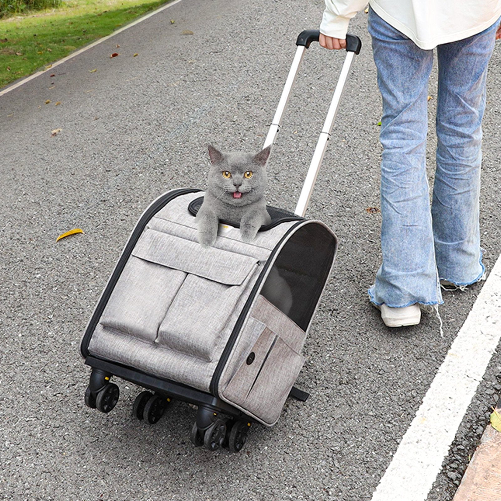 Mochila/Caixa de Transporte para Gatos com Rodinhas e Alça Telescópica